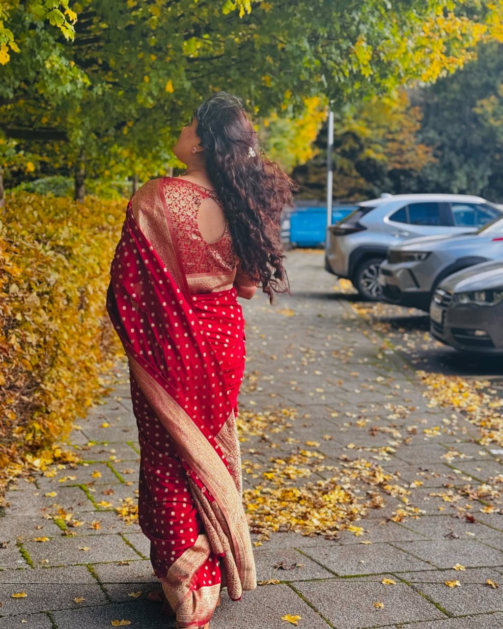 Royal Ruby Red Banarasi Saree with Gold Zari Accents