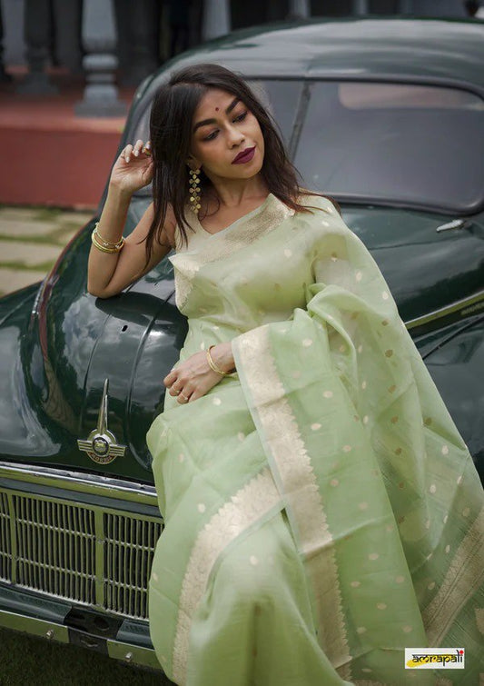 Pastel Glow Banarasi