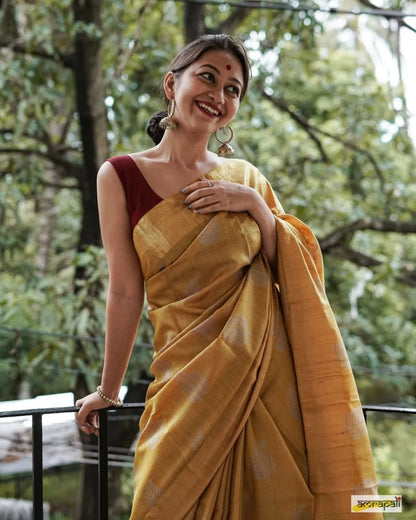 Golden Twilight Saree