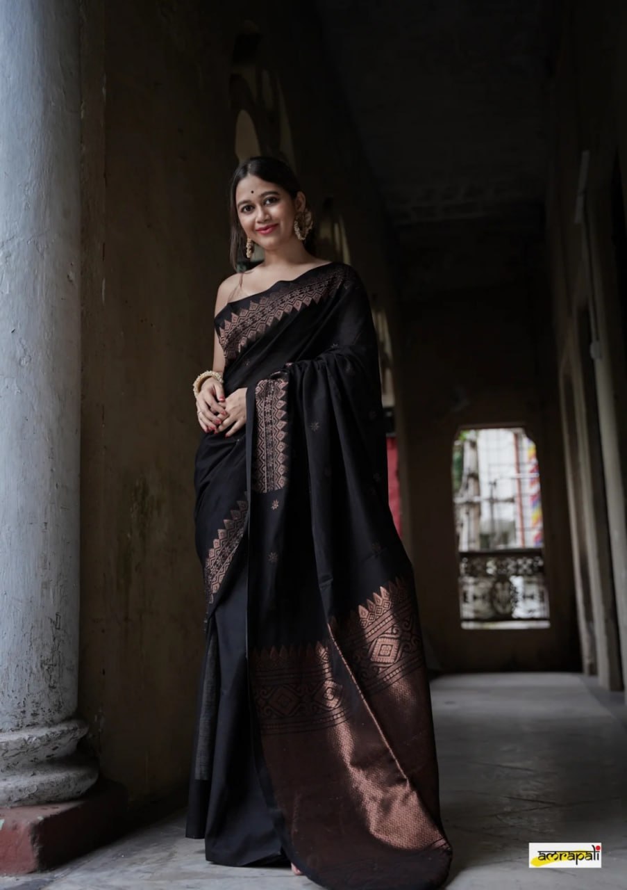 Black Gold Banarasi Silk Saree