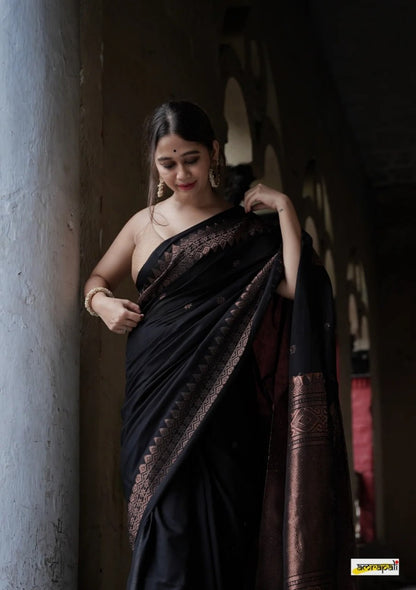 Black Gold Banarasi Silk Saree