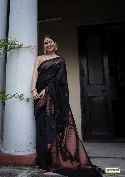 Black Gold Banarasi Silk Saree