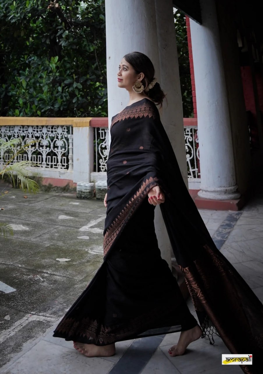 Black Gold Banarasi Silk Saree