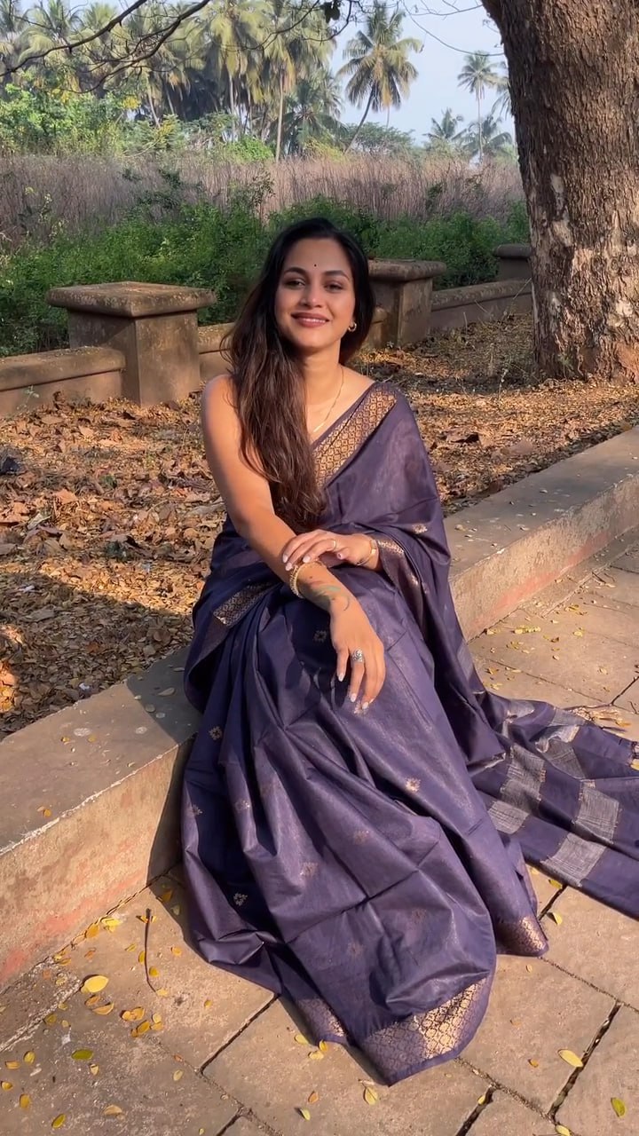 Mystic Lavender Saree